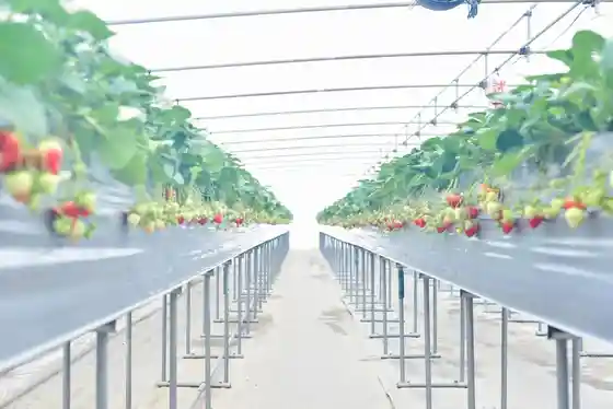 Nagaoka Higashiyama Furusato Taiken Farm