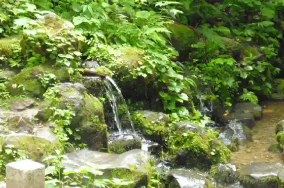 Mori Mori no Mori Yusui (Todo no Moriyusui)