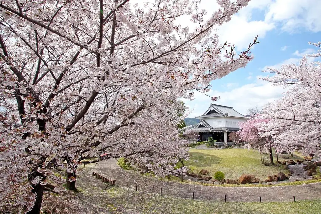 Shoryu Tera Castle Ruins (Shoryu Tera Shiro Park)