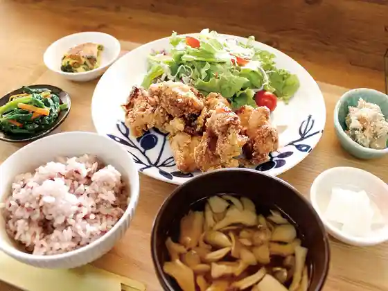 Nagara Taiyo Farm