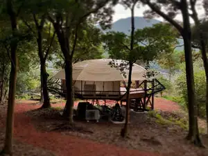 Camping Forest Hasami