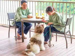 Pet Resort Brains Nagasaki