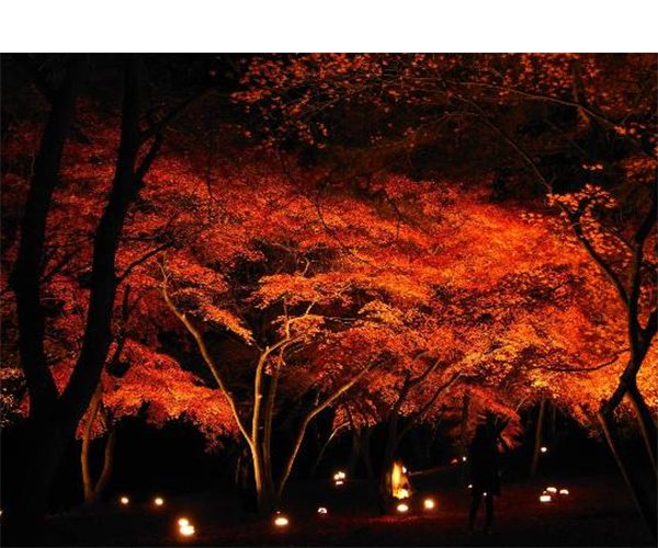 Tsuki no Ishi Maple Park