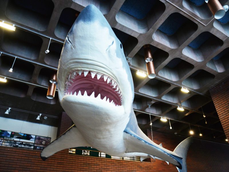 Saitama Prefectural Museum of Nature