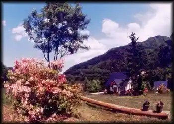 Miyashita Hills Auto Campground