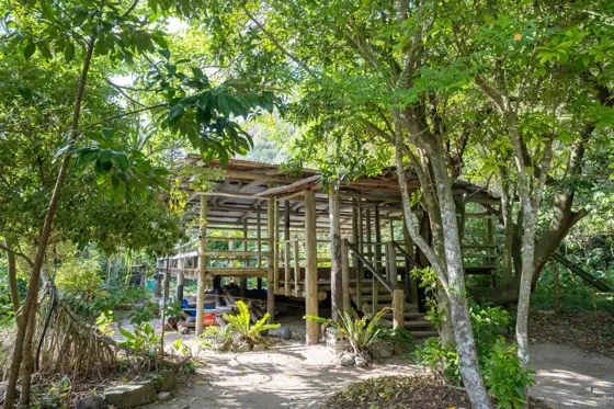 Jinbun School