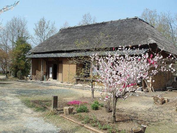 Higo Folk House Village