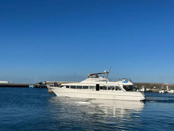 Dream Cruiser and Boat Private Charter