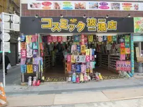 Cosmic Namizaru Store