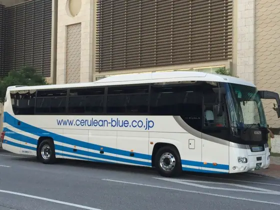 Churashima Full-day Sightseeing Bus Tour Course C from Naha and Chatan
