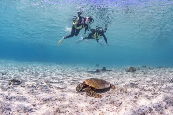 Miyako Island Snorkeling Booking - Okiraku