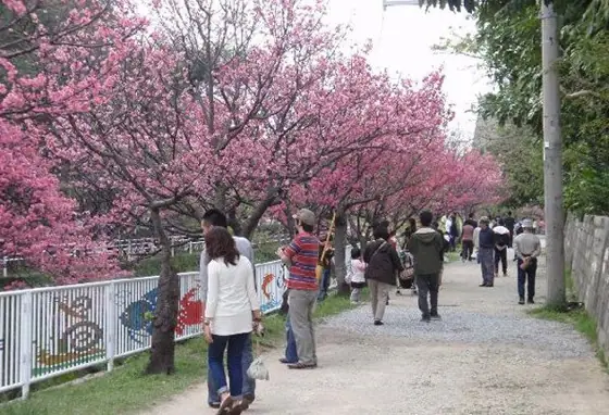 Yogi Park