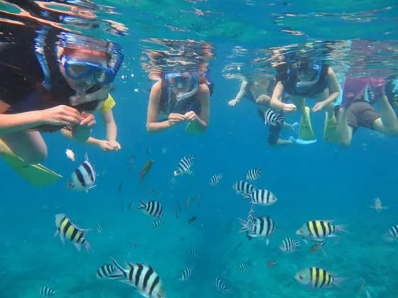 Kerama Islands Half-day Boat Snorkeling Tour