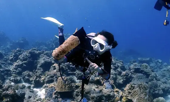 Dr.blue Underwater Trash Pickup Shop