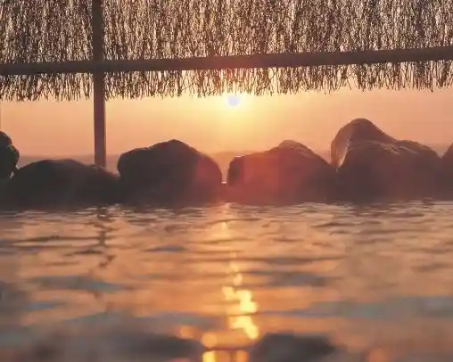 Bato Hot Spring Resort