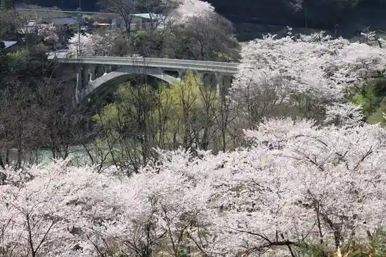 Sakato Kyo