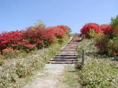 Jimba Katachi Sancho no Tsutsuji