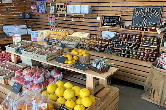 Takaoka Fruit