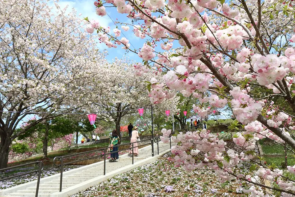 Sei Mine Furusato Park
