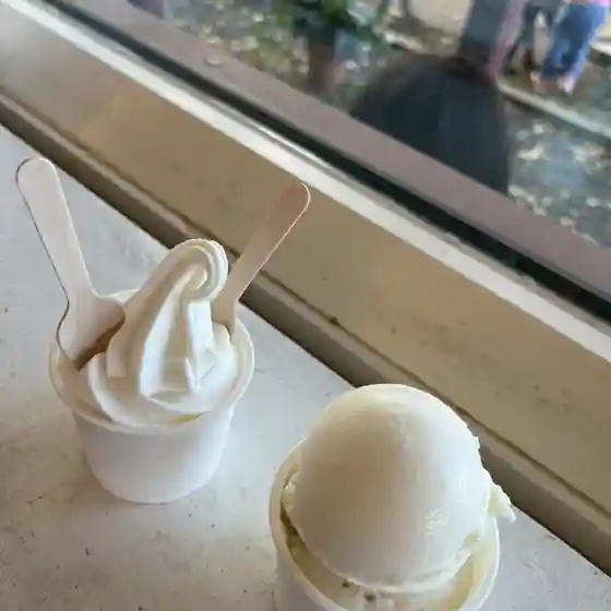 高橋牧場チーズ工房