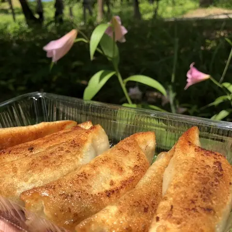 Akiko no Gyoza