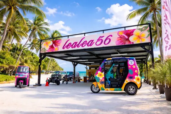 lealea56