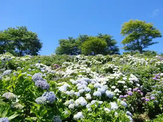 Utsubuna Park