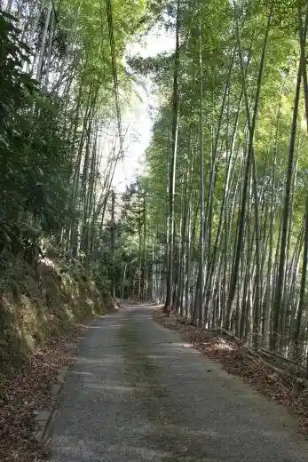 Saigyo Park (Saigyokoen)