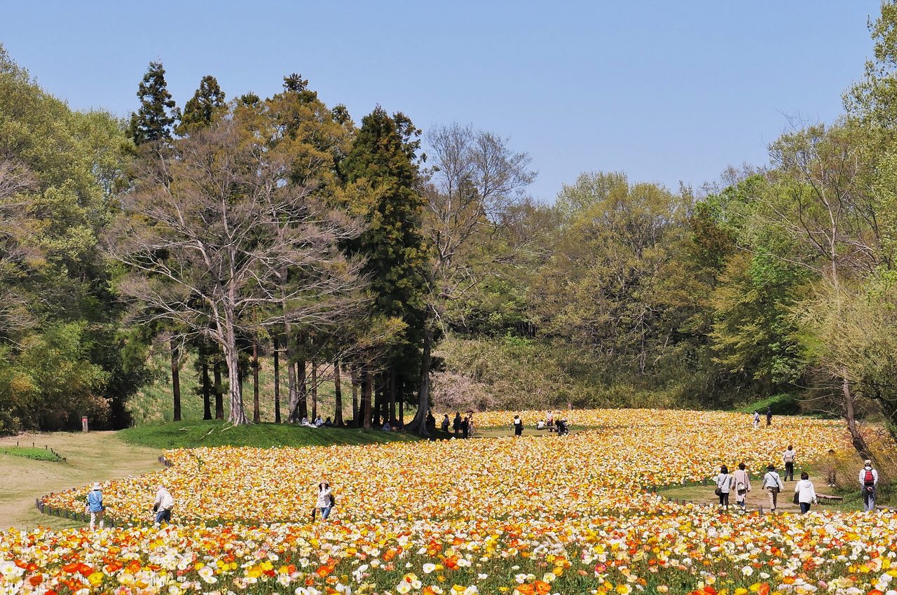 Musashi Kyuryo National Government Park