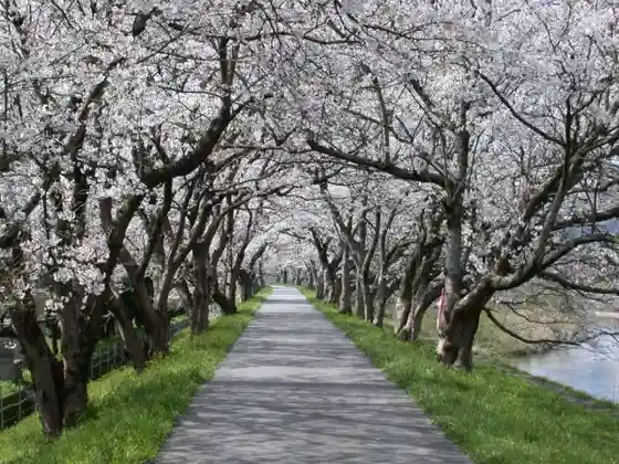 Hossho Tera Shiroyama Park Hossho Terakawa