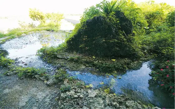 Ukinju-Hainju