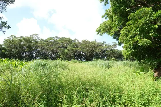 Ufugusuku Castle Ruins