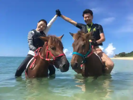 Umikaze Horse Farm