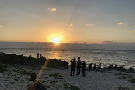 Kudaka Island Ishiki Beach First Sunrise Cruise