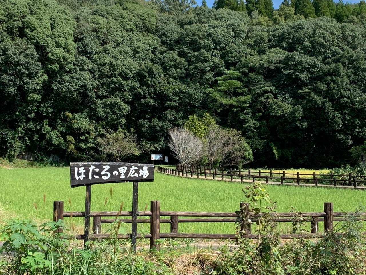 Firefly Village Park