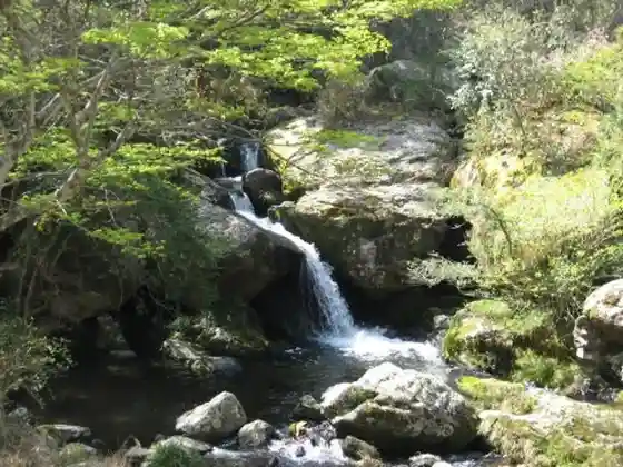 Kyotofuritsu Ruri Kei Nature Park