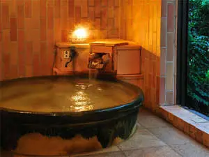 Akayu Onsen Edo Jidai Chuki Sogyo no Retro Yado Ryokan Omoji-ya
