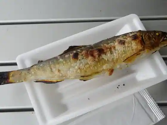 Michi No Eki Sugi No Yukawa Ue Furusato Shijo