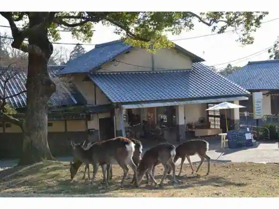 Mountain Home Lodge in Deer Park