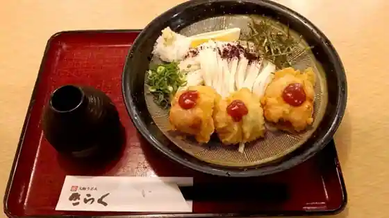 Osaka Udon Kiraku Oji