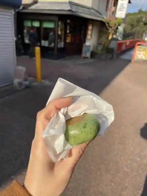 Tora Chaya