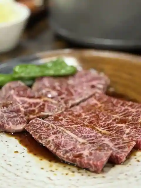 Yakiniku 556