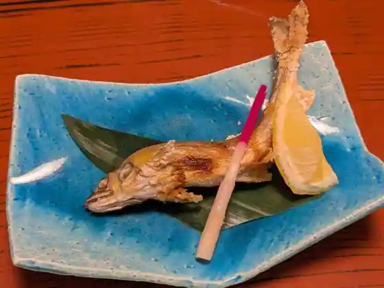 Kaku Jin