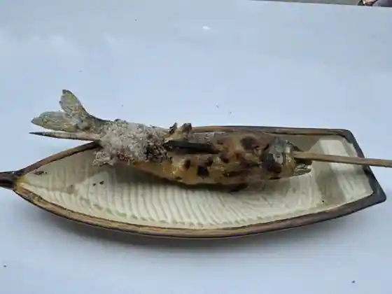 Kame Kiyoshi