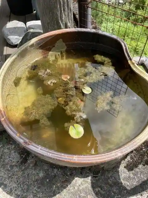 喫茶 みつば