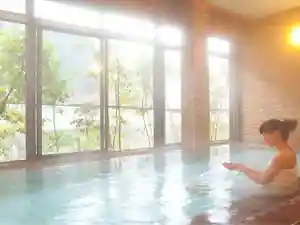 Atarashiya Ryokan (Omine Yama Dokawa Onsen)