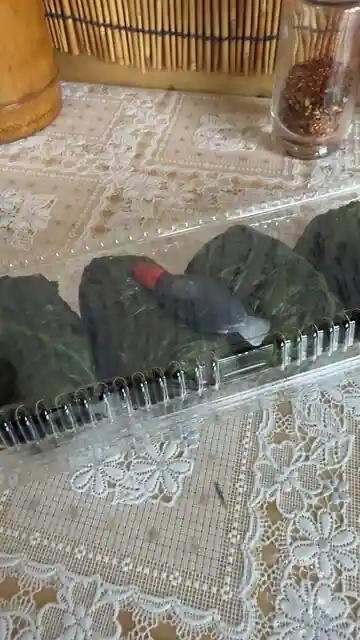 Tamaki Yama Sakae Yama Tamaki Jinja