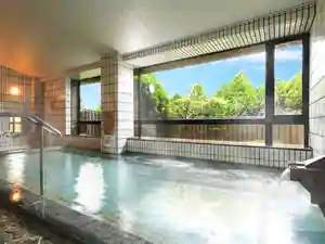 Tennen Onsen Tamago Hada Bijin No Yu Bi Shin En