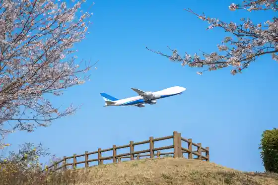 Narita Sakura no Yama
