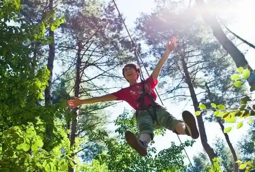 Forest Adventure Fuji